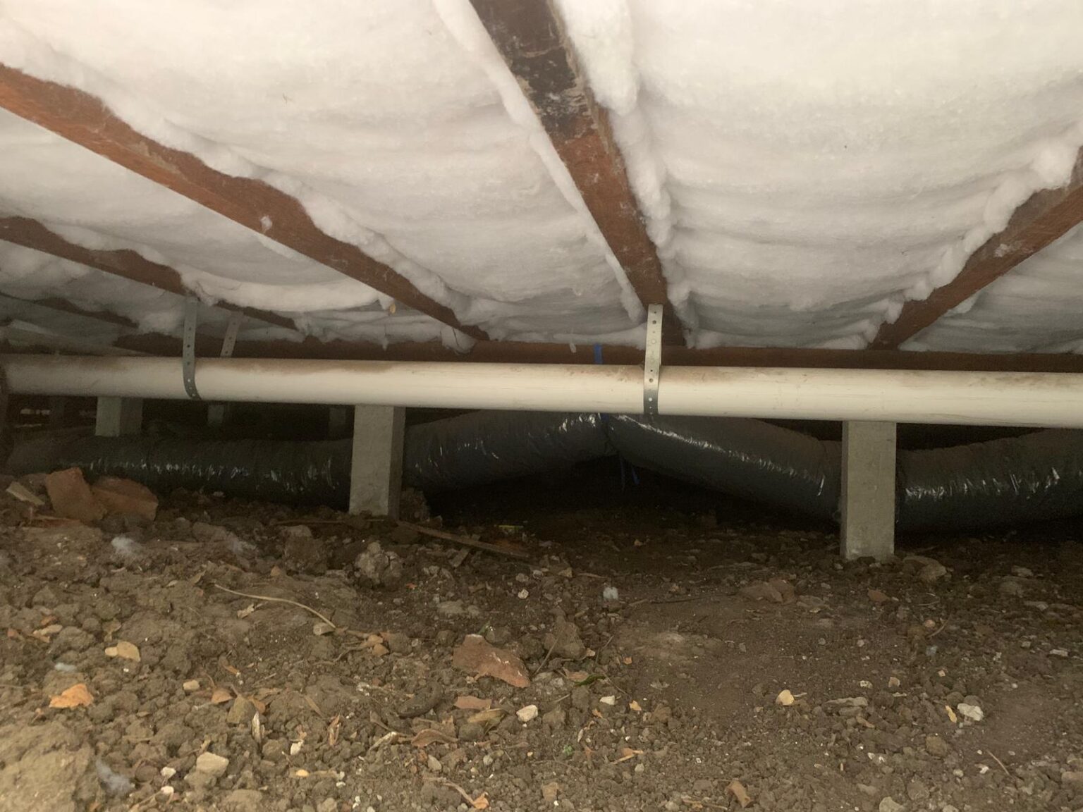 Professional Insulation